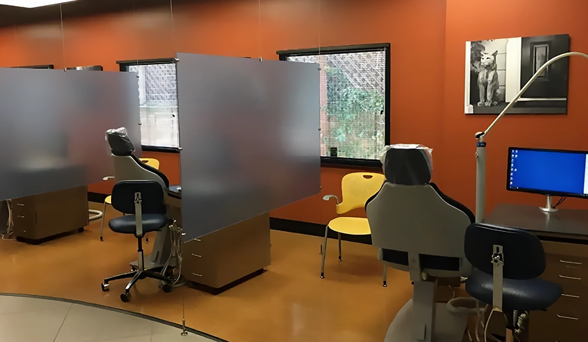 Pediatric Dentist Los Gatos CA Dental Treatment Area Dental Treatment Chairs In Orange Room